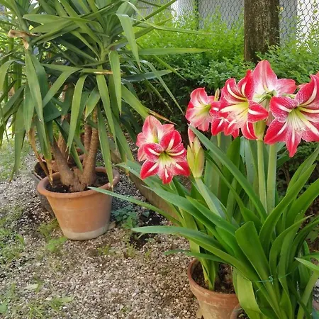 Aduepassidallafiera * Bologna