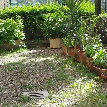 Aduepassidallafiera *