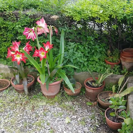 Appartement Aduepassidallafiera *