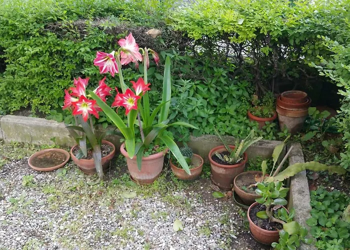 Appartement Aduepassidallafiera *
